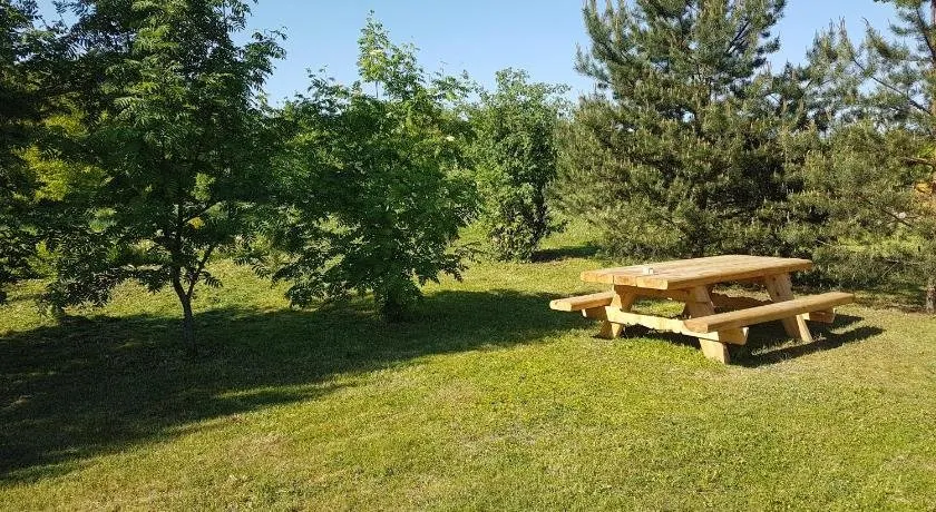 Domeikavos vila - Image 1