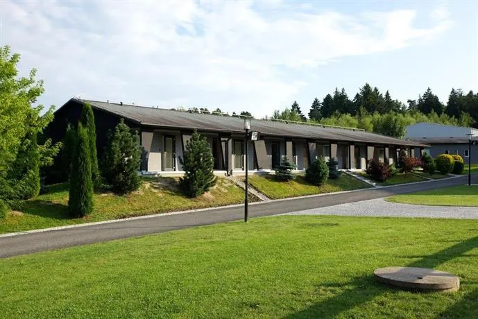 Master Horse Club - Image 1