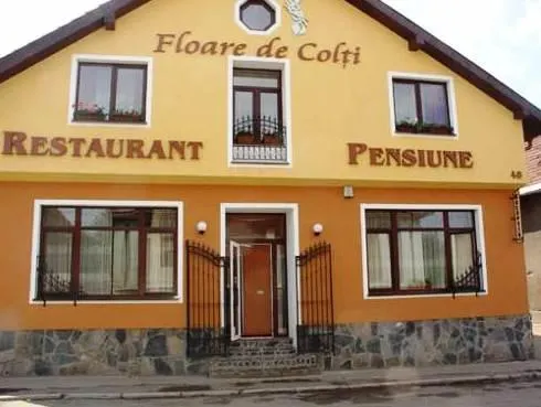 Pension Floare de Colti - Image 1