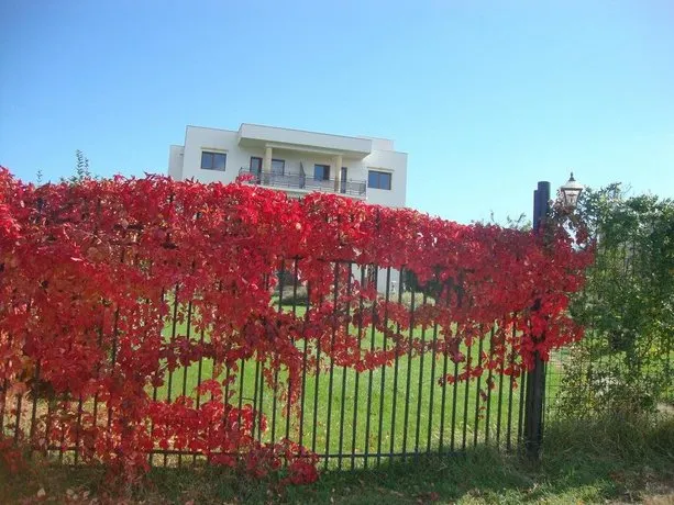 Vila Lacul Sarat - Image 1