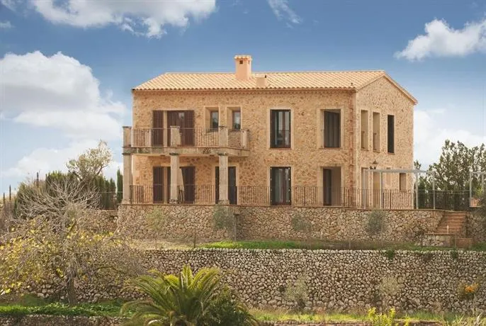 Galilea - Image 1