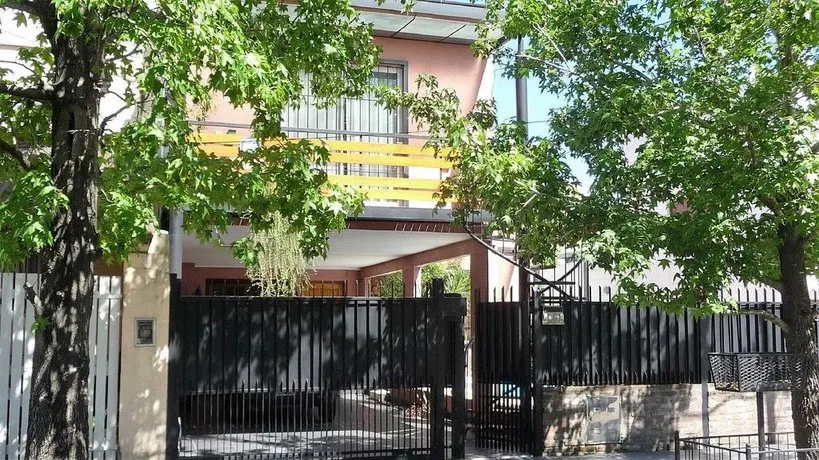 Cara Mia Tigre - Image 1