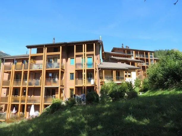 Eilander Sunshine - Image 1