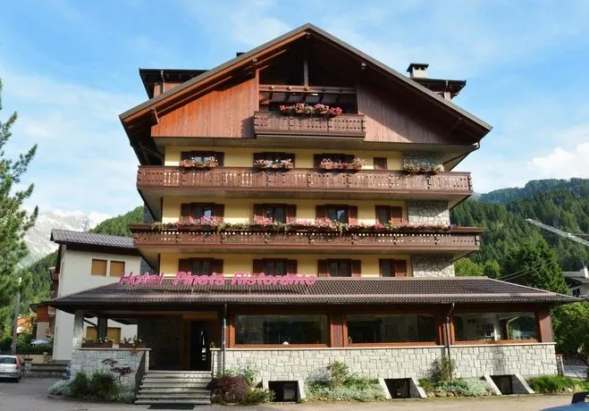 Hotel Pineta - Image 1