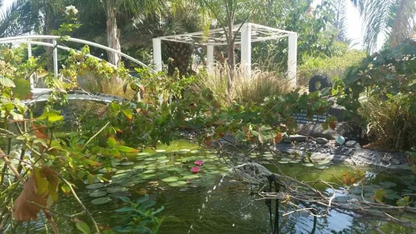 Kmo Yam In The Love Garden - Image 1