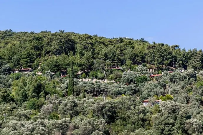 Terra Villas - Image 1