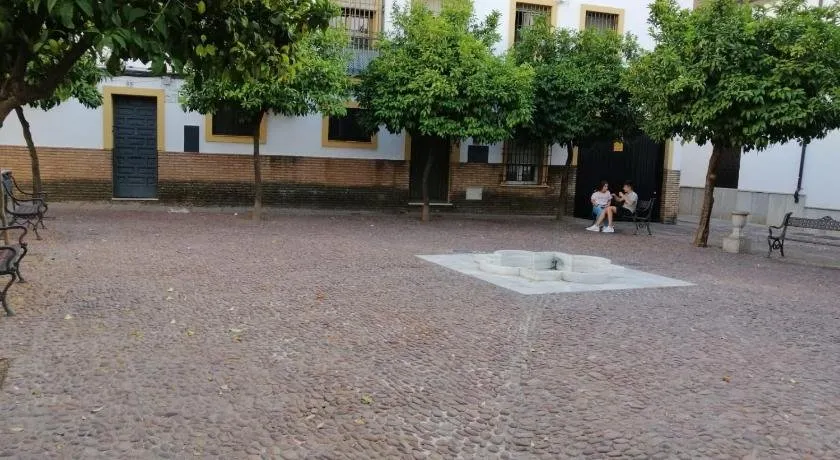 CALLE ABEJAR,PLAZA - Image 1