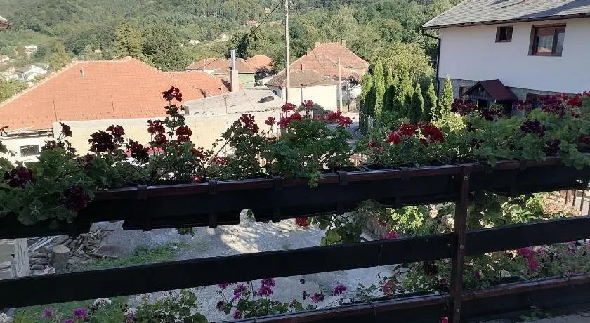 Apartman Veskovic - Image 1