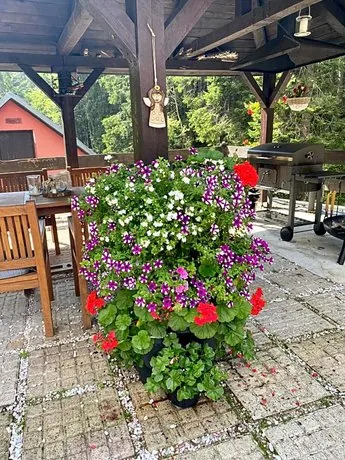 Hotel Petski - Image 1