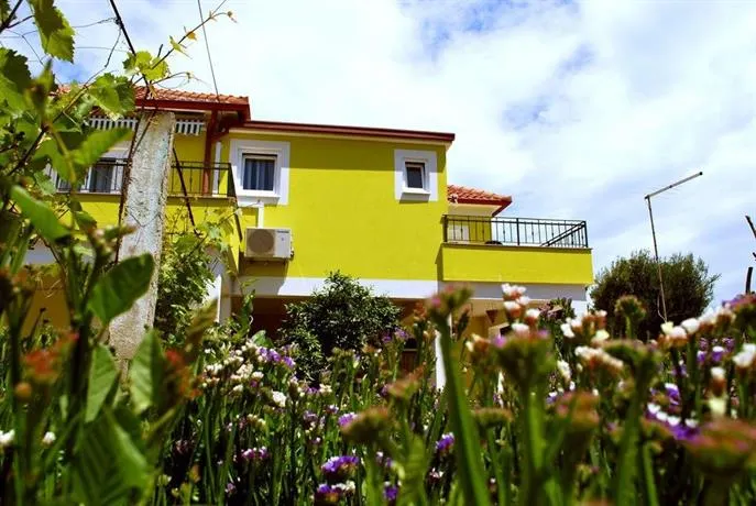 Senkini Dvori - Image 1