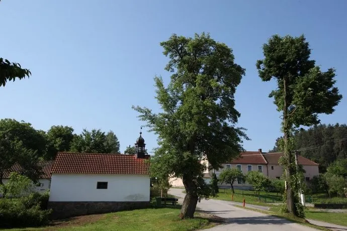 Bizoní Farma Smrhov - Image 1