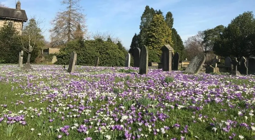 No 2 - Image 1