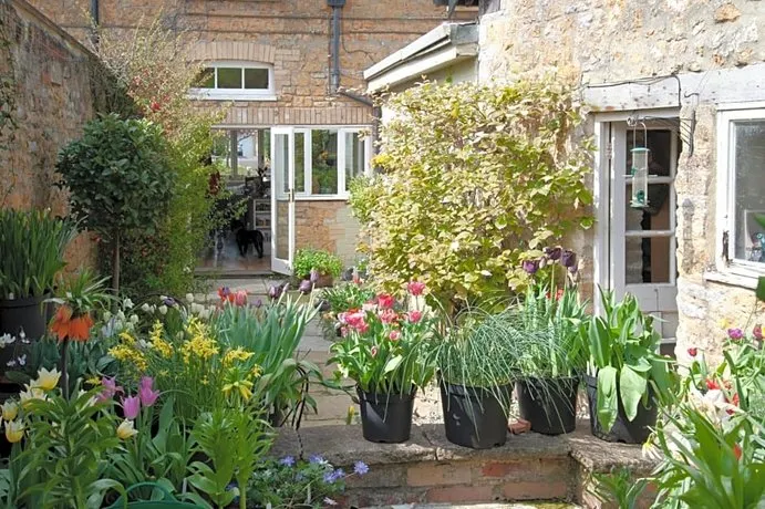 Avalon House - Image 1