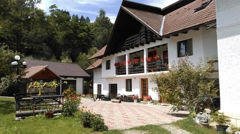 Pensiunea Iulia - Image 1