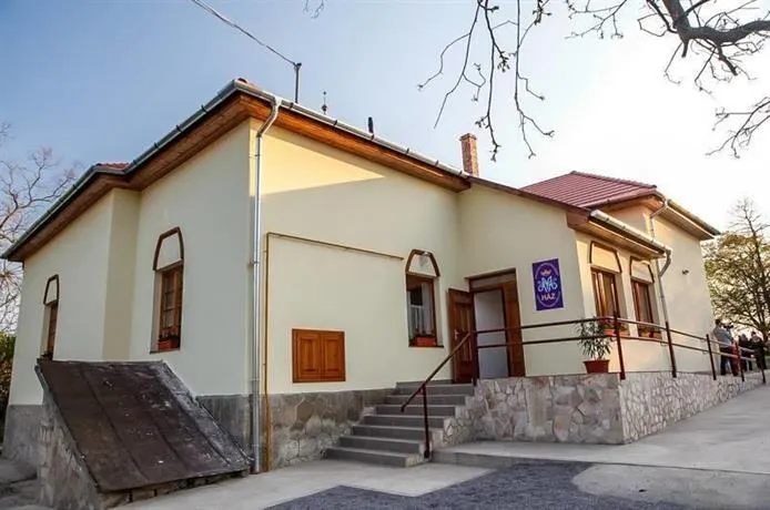 Maria Haz - Image 1