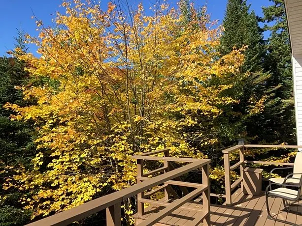 Chalet Nature Laurentides - Image 1