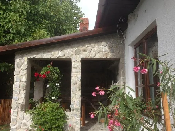 PENSIUNEA CASA CU TEI - Image 1
