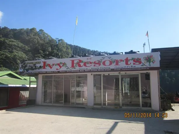 Ivy Resorts - Image 1