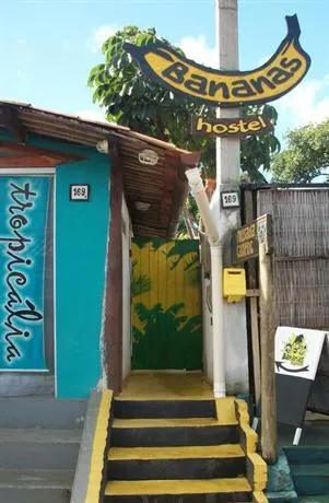 Bananas Hostel - Image 1