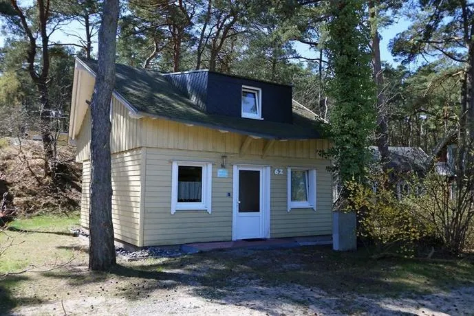 Strandhaus Dünenweg 62 Mit Terrasse, Sauna Und Kamin - Image 1