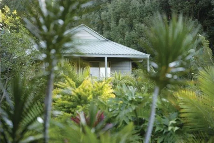 Paradise One - Image 1