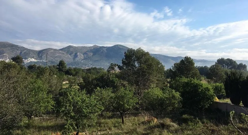 Bernia Relax - Image 1