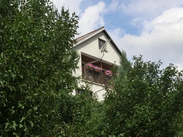 Guesthouse Prachovské skály - Image 1