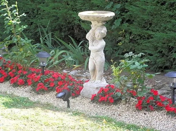 Le Renard - Image 1