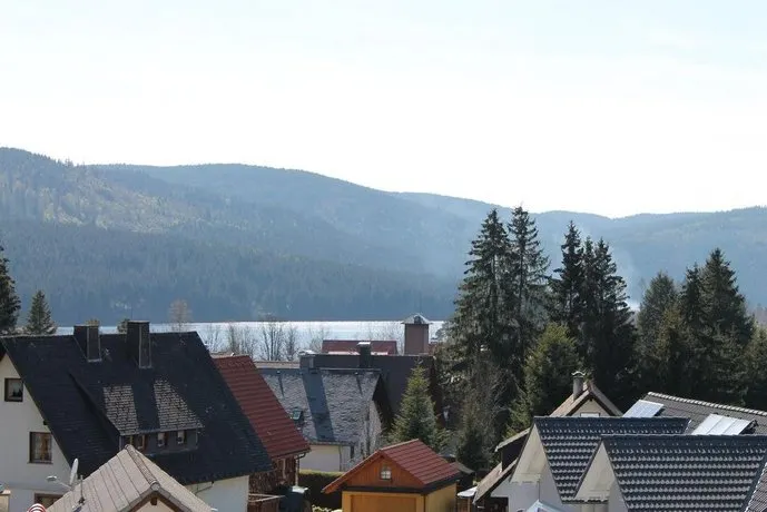Ferienappartement Schwarzwaldbub - Image 1