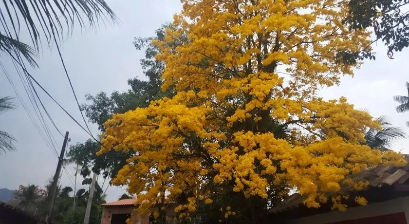 Suites Beija-Flor - Image 1