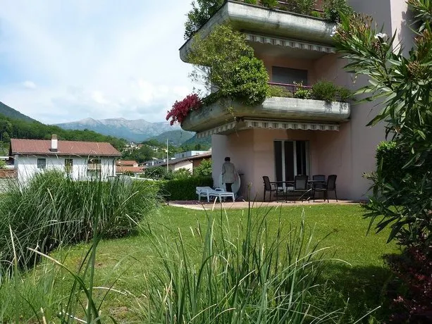 Nosetto - Image 1