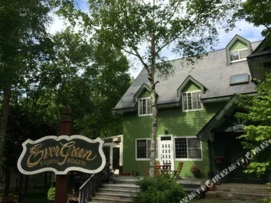 Ever Green - Image 1
