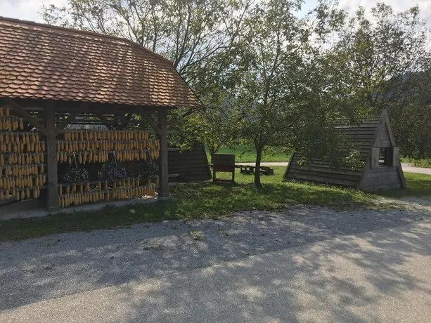 Glamping Lasko - Image 1