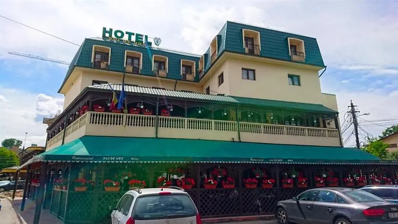 Hotel Pui de Urs - Image 1