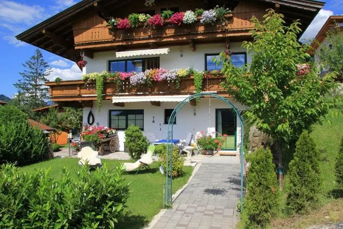 Untergrünholz - Image 1