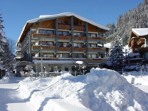 Vital - und Wellnesshotel Hanneshof - Image 1