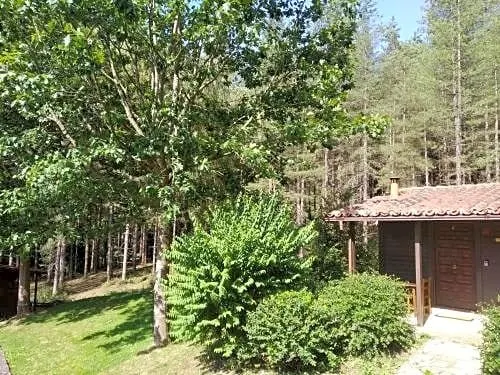 Cabanas en el Bosque - Adults Only - Image 1