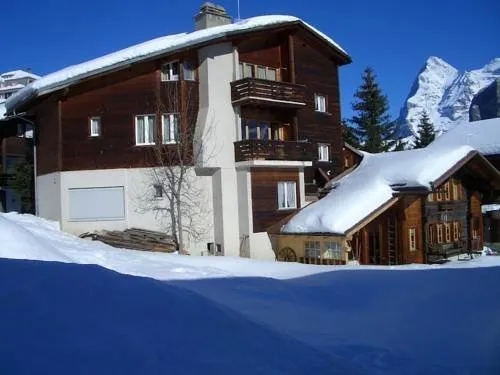 Chalet Anemone 2 - Image 1