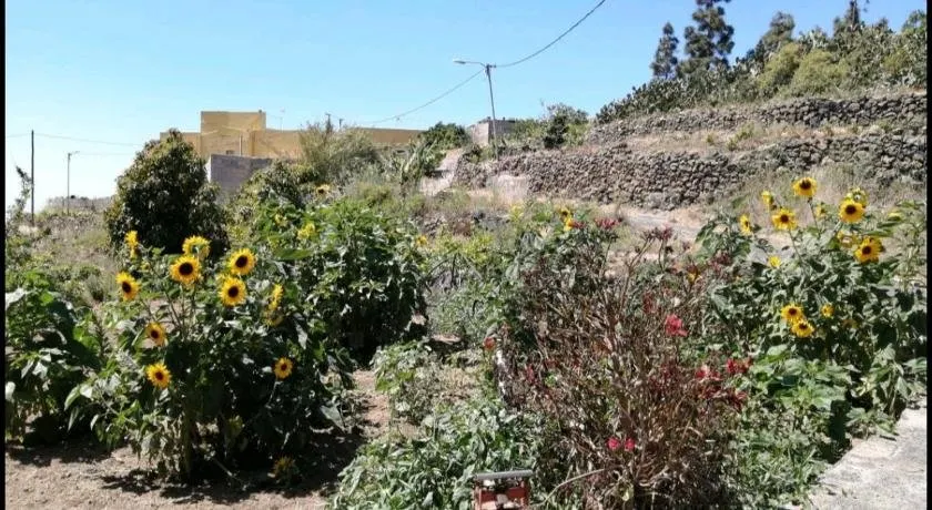 Green Village Tony Frias - Image 1