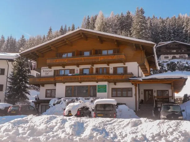 Pension Schweizerhof - Image 1