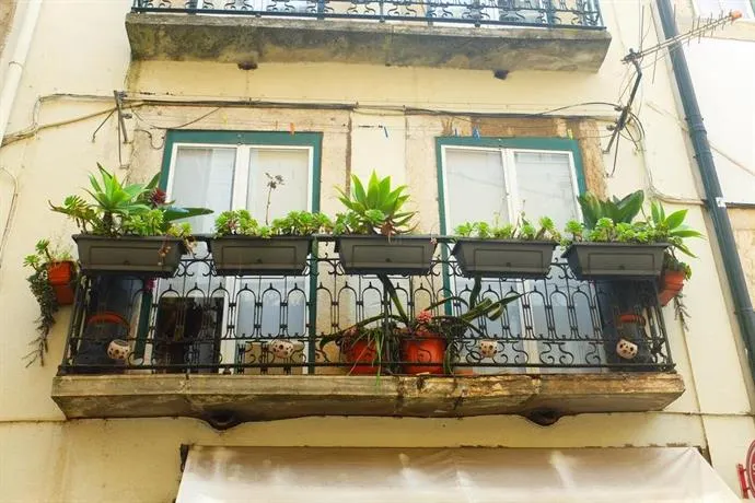 Casa da Xana - Image 1