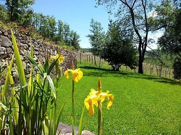 Fattoria Poggerino - Image 1