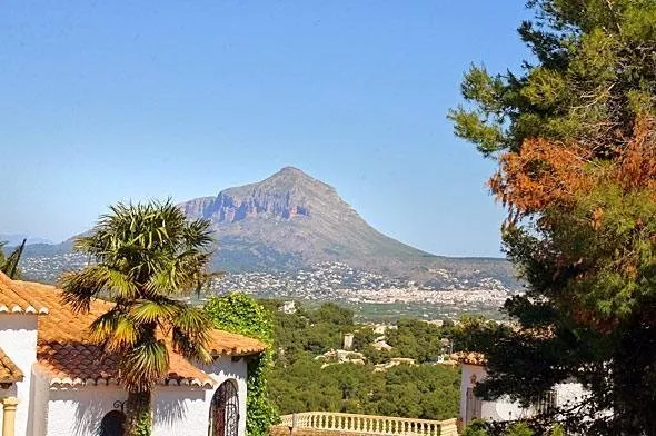 La Gaviota - Image 1