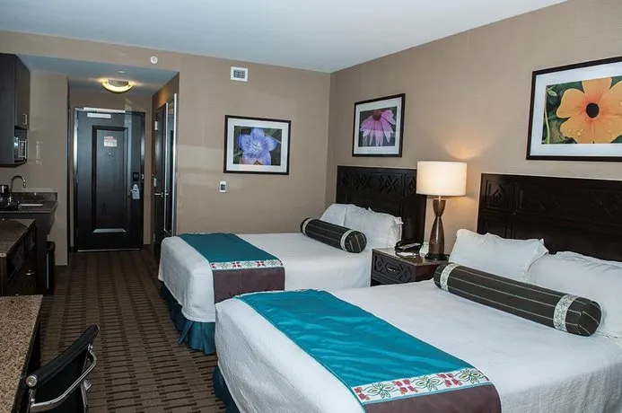Soaring Eagle Waterpark and Hotel - Image 1