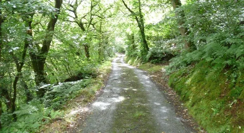 Romany Wagon Retreat - Image 1