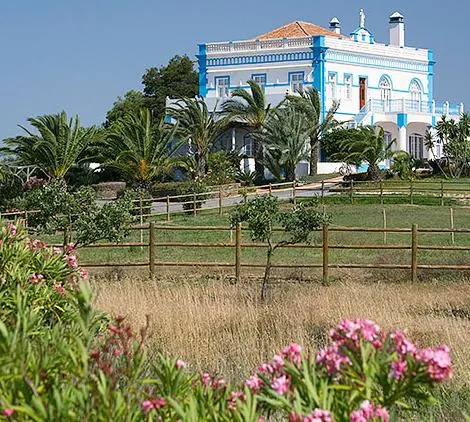 Herdade Dos Grous - Image 1