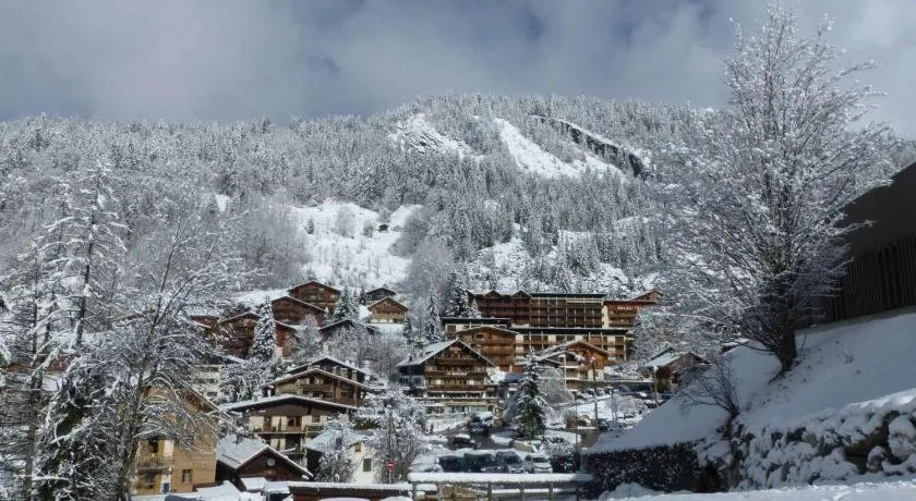 Appartement La Clusaz, 2 pièces, 4 personnes - FR-1-437-14 - Image 1