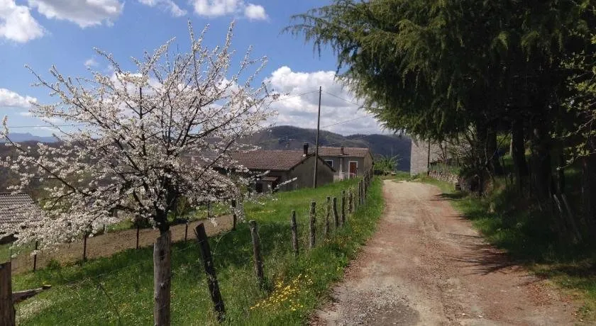 Il Mandorlo - Image 1
