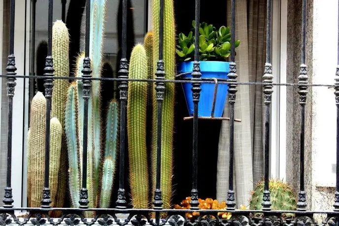 Casa Teresa Estepona - Image 1
