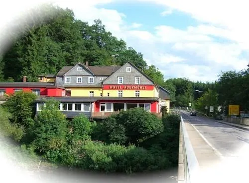 Hotel Auermühle - Image 1